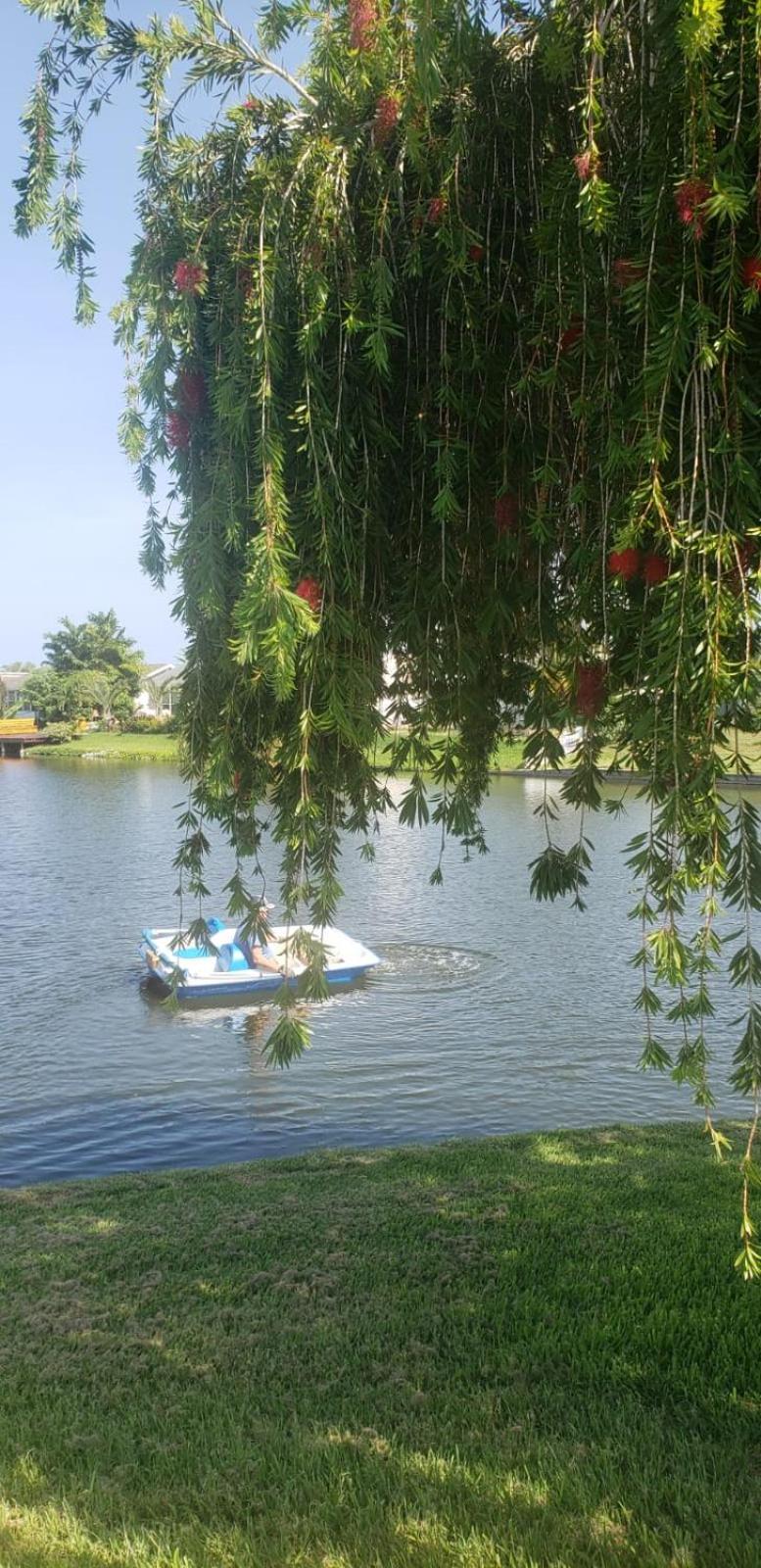 شقة Near Clearwater And Tarpon Spring With Water View هوليداي المظهر الخارجي الصورة