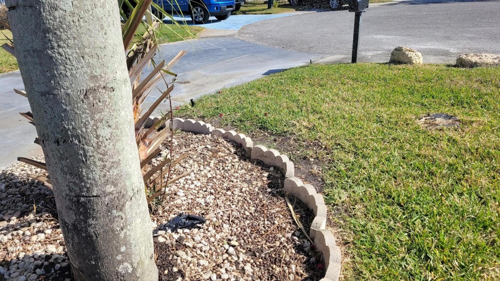 شقة Near Clearwater And Tarpon Spring With Water View هوليداي المظهر الخارجي الصورة